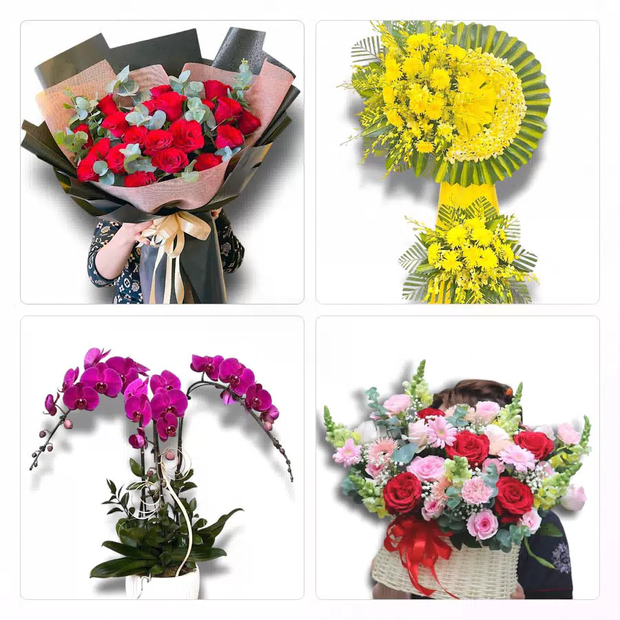 Shop hoa Phường Tam Phước, Đồng Nai