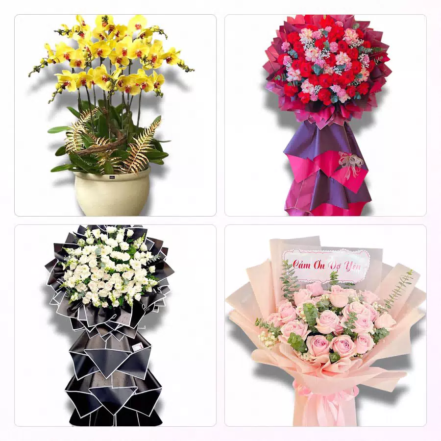 shop hoa tươi Phường Tân An Tây Ninh
