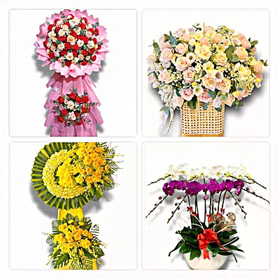 Đặt Hoa Tươi Phường Tân Bình, TP.HCM - Đặt Hoa Nhanh, Gọi Là Có