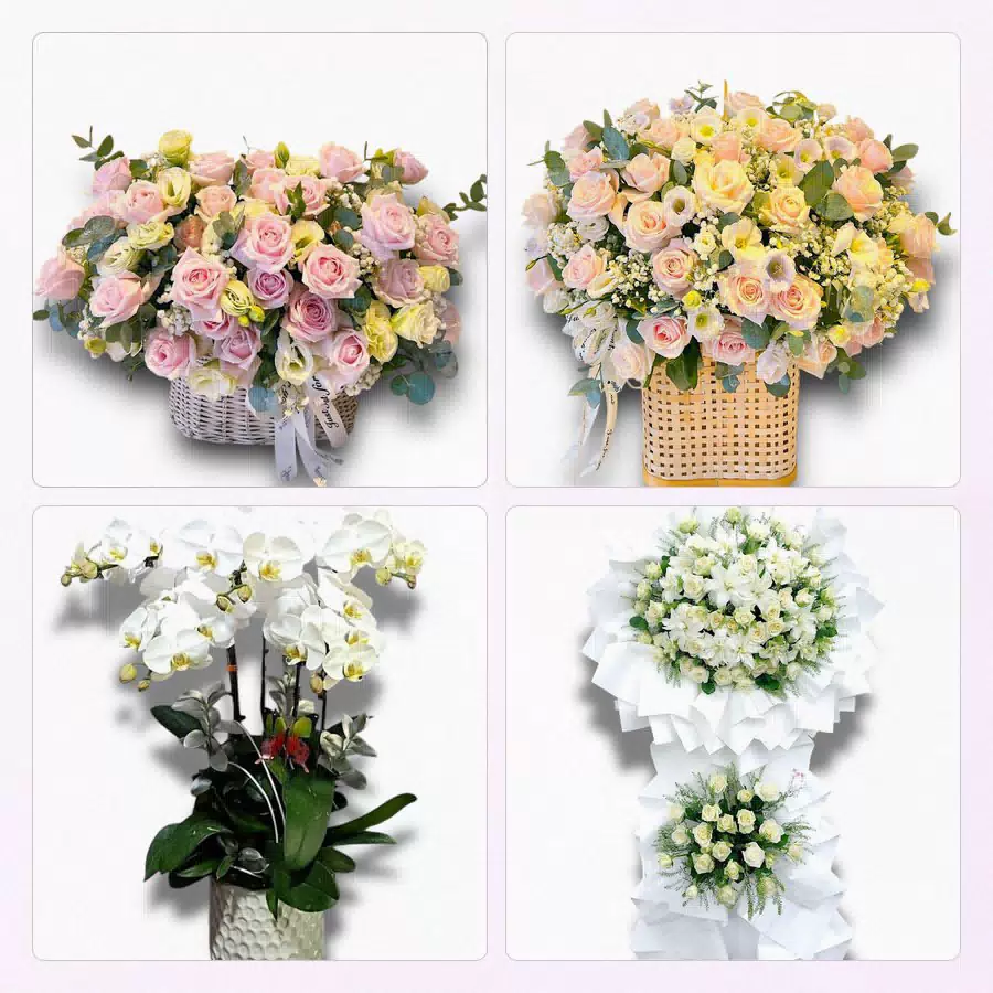 hoa tươi giao tại Phường Tân Hạnh Vĩnh Long