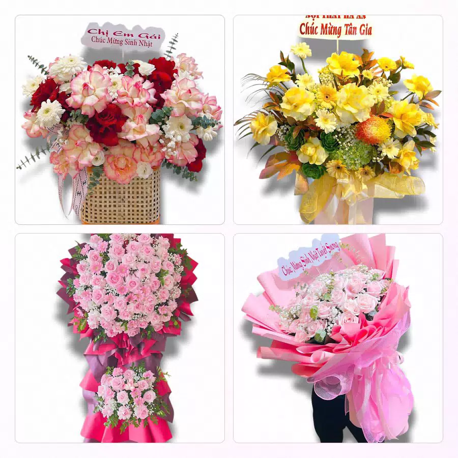 hoa tươi giao tại Phường Tân Hòa TP.HCM