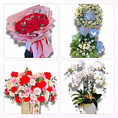 Đặt Hoa Tươi Phường Tân Mỹ, TP.HCM - Sinh Nhật – Khai Trương – Chia Buồn