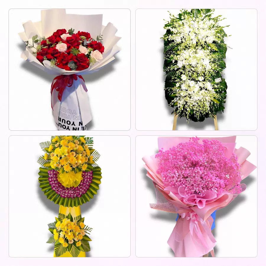 shop hoa tươi Phường Tân Sơn Hòa TP.HCM