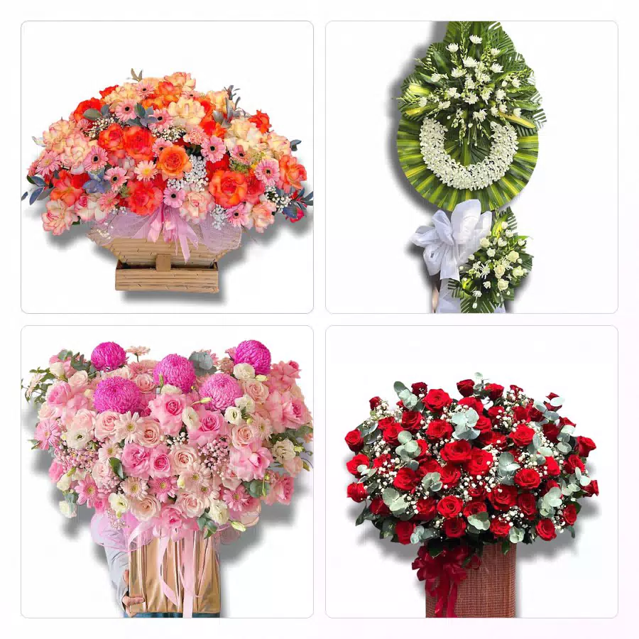 shop hoa Phường Tĩnh Gia Nghi Sơn