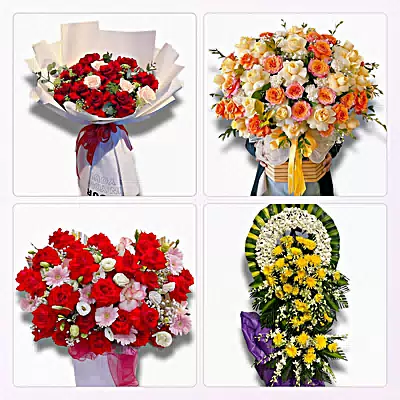 Đặt Hoa Tươi Phường Trương Quang Trọng, Quảng Ngãi - Hoa Tươi Mỗi Ngày