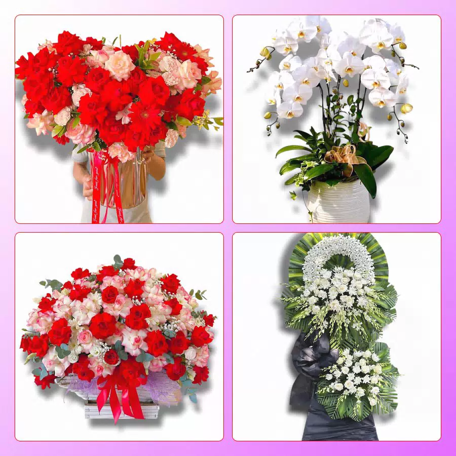 đặt hoa tươi tại Quận 6 giao tận nơi khu chợ Bình Tây