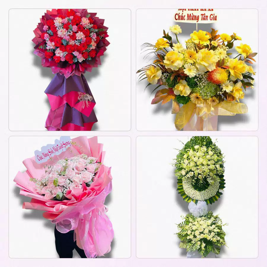 Bó hoa tươi shop Quỳ Hợp