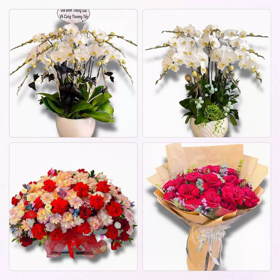 đặt hoa tươi tại Sầm Sơn Thanh Hóa giao tận nơi