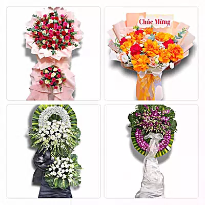 Đặt Hoa Tươi Tại An Nhơn, Bình Định - Giao Tận Nơi