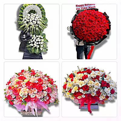 Đặt Hoa Tươi Tại Ba Tri, Bến Tre - Giao Tận Nơi