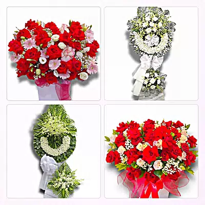 Đặt Hoa Tươi Tại Bàu Bàng, TP.HCM - Giao Tận Nơi