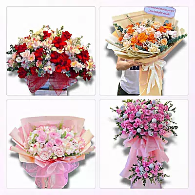 Đặt Hoa Tươi Tại Bến Cầu, Tây Ninh - Giao Tận Nơi