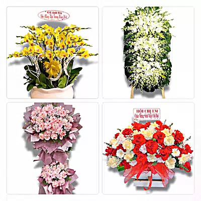 Đặt Hoa Tươi Tại Buôn Hồ, Đắk Lắk - Giao Tận Nơi