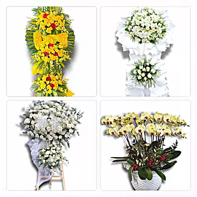 Đặt Hoa Tươi Tại Cành Nàng, Bá Thước, Thanh Hóa - Giao Tận Nơi