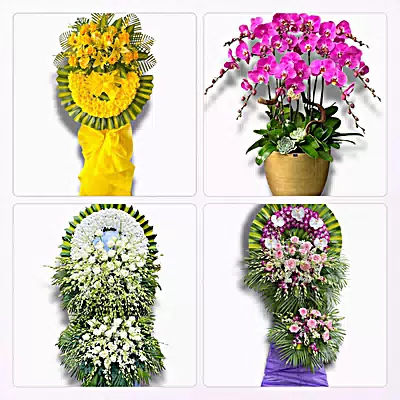 Đặt Hoa Tươi Tại Chợ Gạo, Đồng Tháp - Giao Tận Nơi