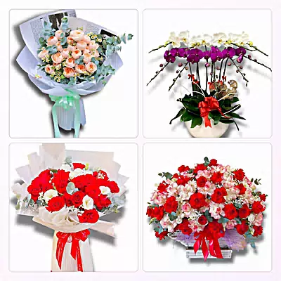 Đặt Hoa Tươi Tại Đồng Lê, Quảng Trị - Giao Tận Nơi
