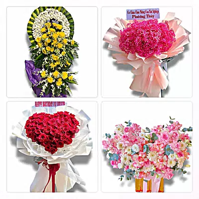 Đặt Hoa Tươi Tại Dương Kinh, Hải Phòng - Giao Tận Nơi