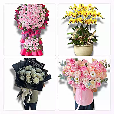 Đặt Hoa Tươi Tại Hà Tiên - Giao Tận Nơi