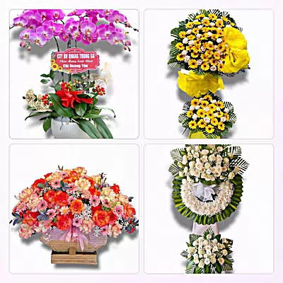 Đặt Hoa Tươi Tại Hồi Xuân, Quan Hóa, Thanh Hóa - Giao Tận Nơi