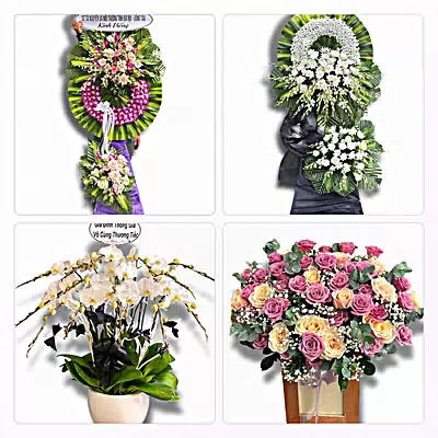 Đặt Hoa Tươi Tại Khánh Hải, Ninh Thuận - Giao Tận Nơi