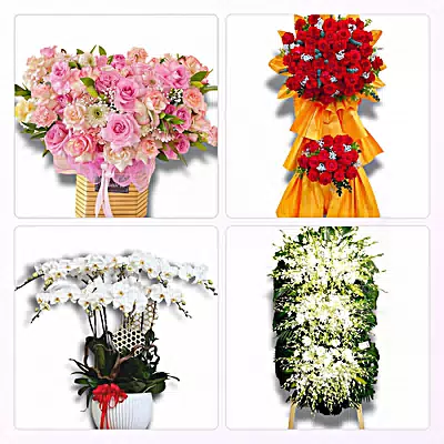 Đặt Hoa Tươi Tại Lạc Dương, Lâm Đồng - Giao Tận Nơi
