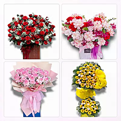 Đặt Hoa Tươi Tại Lai Vung, Đồng Tháp - Giao Tận Nơi