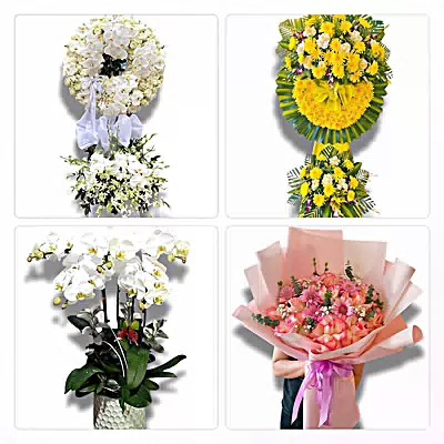 Đặt Hoa Tươi Tại Lương Sơn, Bình Thuận - Giao Tận Nơi