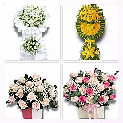 Đặt Hoa Tươi Tại Mỏ Cày, Bến Tre - Giao Tận Nơi