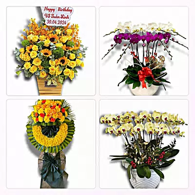 Đặt Hoa Tươi Tại Mỹ Luông, An Giang - Giao Tận Nơi