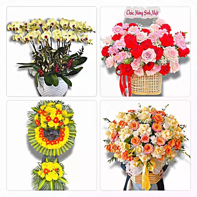 Đặt Hoa Tươi Tại Ngô Đồng, Giao Thủy, Ninh Bình - Giao Tận Nơi