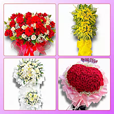 Đặt Hoa Tươi Tại Ô Môn - Giao Tận Nơi