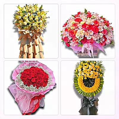 Đặt Hoa Tươi Tại Phú Thọ - Giao Tận Nơi