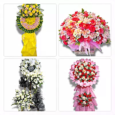 Đặt Hoa Tươi Tại Phường Long Bình, TP.HCM - Đặt Hoa Nhanh, Gọi Là Có