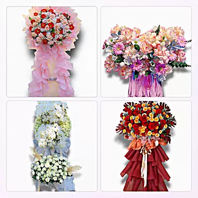 Đặt Hoa Tươi Tại Phường Long Phước, TP.HCM - Sinh Nhật – Khai Trương – Chia Buồn