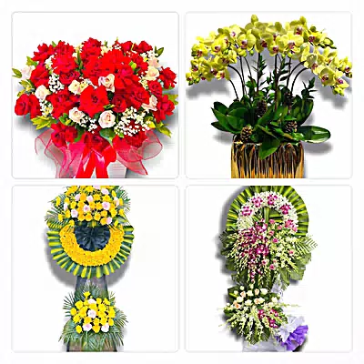 Đặt Hoa Tươi Tại Phường Mỹ Hào, Hưng Yên - Giao Hoa Tận Nhà