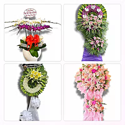 Đặt Hoa Tươi Tại Phường Phú Thọ Hòa, TP.HCM - Đặt Hoa Nhanh, Gọi Là Có