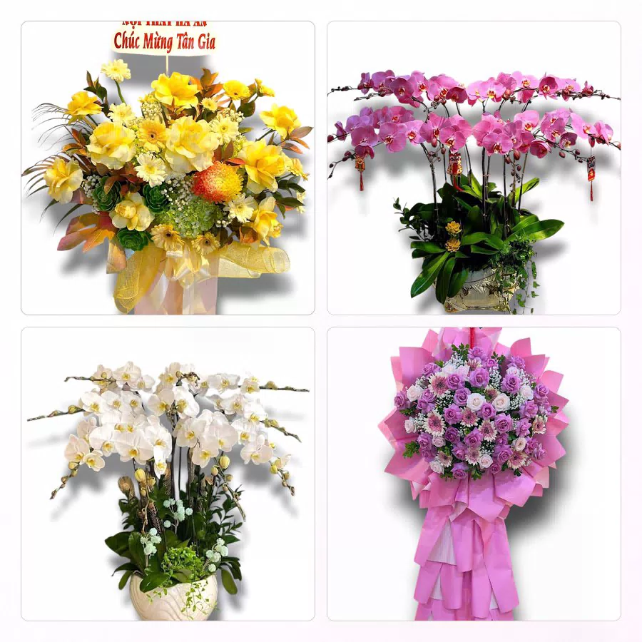 Đặt Hoa Tươi Tại Phường Quang Trung, Thanh Hóa - Sinh Nhật – Khai Trương – Chia Buồn