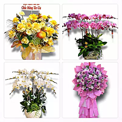 Đặt Hoa Tươi Tại Phường Quang Trung, Thanh Hóa - Sinh Nhật – Khai Trương – Chia Buồn