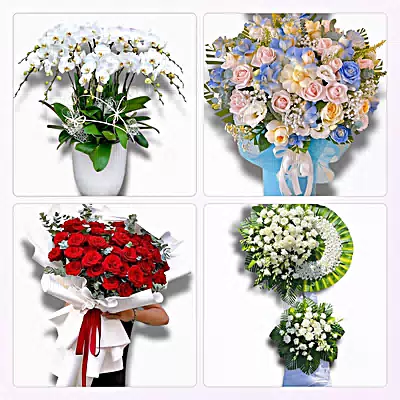 Đặt Hoa Tươi Tại Phường Trần Liễu, Hải Phòng - Nhận Đặt Mọi Dịp