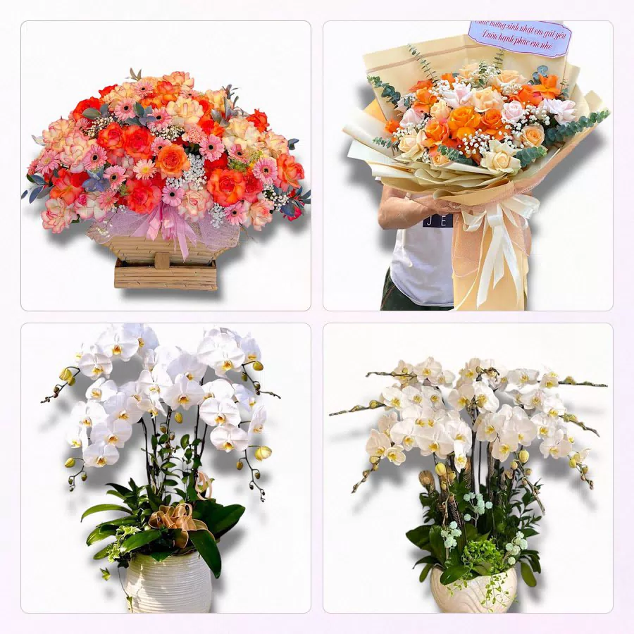 Đặt Hoa Tươi Tại Quỳnh Côi, Quỳnh Phụ, Hưng Yên - Giao Tận Nơi