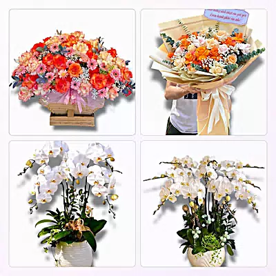 Đặt Hoa Tươi Tại Quỳnh Côi, Quỳnh Phụ, Hưng Yên - Giao Tận Nơi
