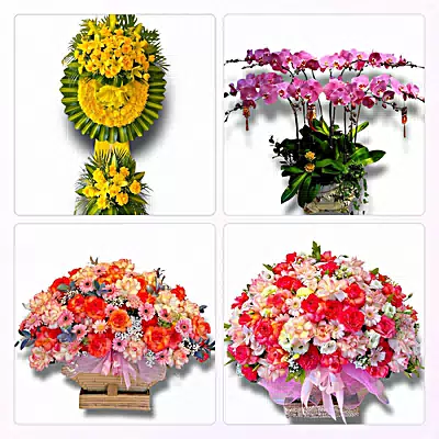 Đặt Hoa Tươi Tại Thái Nguyên - Giao Tận Nơi
