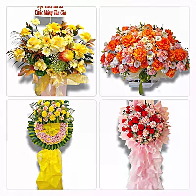 Đặt Hoa Tươi Tại Thanh Hóa - Giao Tận Nơi
