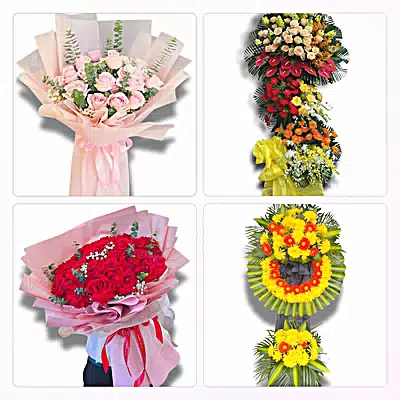Đặt Hoa Tươi Tại Tràm Chim, Đồng Tháp - Giao Tận Nơi