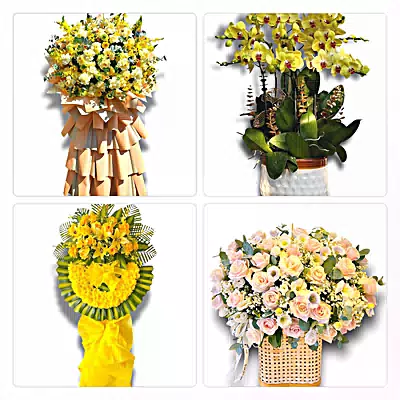 Đặt Hoa Tươi Tại Vân Canh, Bình Định - Giao Tận Nơi
