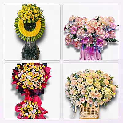 Đặt Hoa Tươi Tại Võ Xu, Đức Linh, Bình Thuận - Giao Tận Nơi