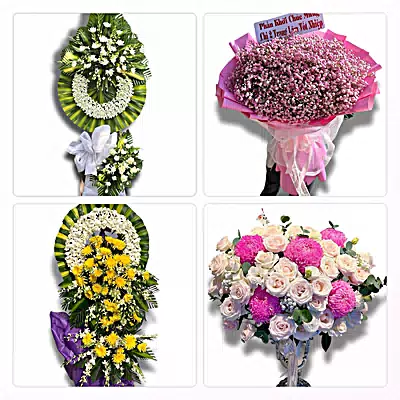 Đặt Hoa Tươi Tại Xã Hòa Phú, Hà Nội - Sinh Nhật – Khai Trương – Chia Buồn