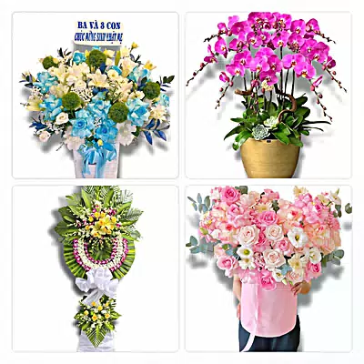 Đặt Hoa Tươi Tại Xã Long Hải - Giao Hoa Tận Nhà