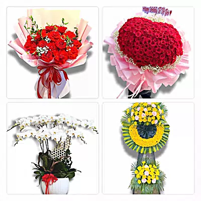 Đặt Hoa Tươi Tại Xã Tân Phước 3, Đồng Tháp - Giao Tận Nơi
