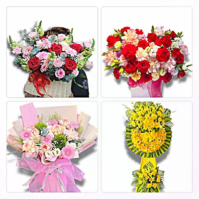 Đặt Hoa Tươi Tại Yên Cát, Thanh Hóa - Giao Tận Nơi